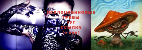 mix Абаза