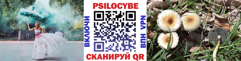 Псилоцибиновые грибы MAGIC MUSHROOMS  Гусиноозёрск 